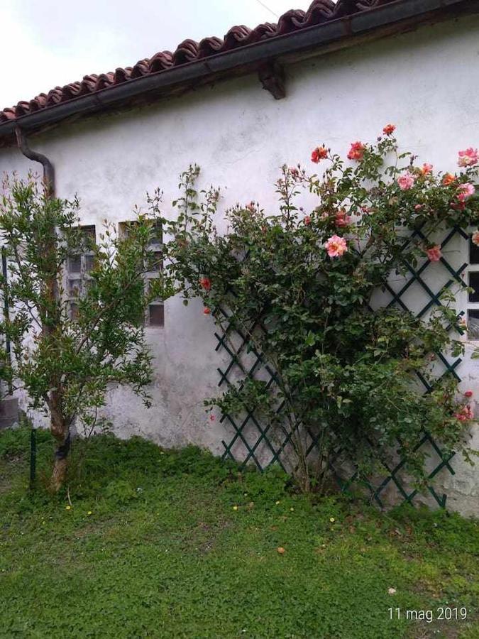 Bed and Breakfast Beb Infamiglia Cascinette Exterior foto