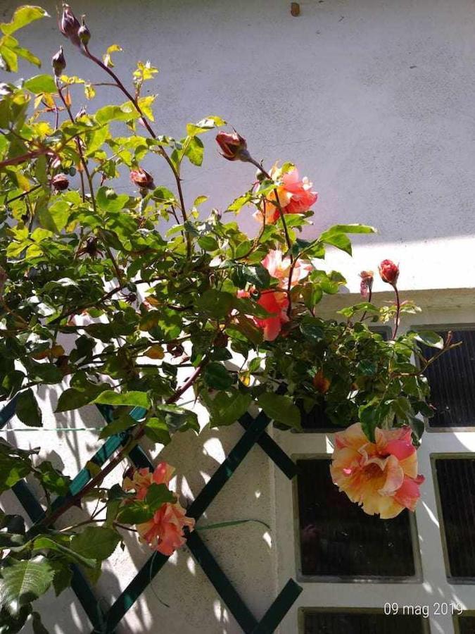 Bed and Breakfast Beb Infamiglia Cascinette Exterior foto